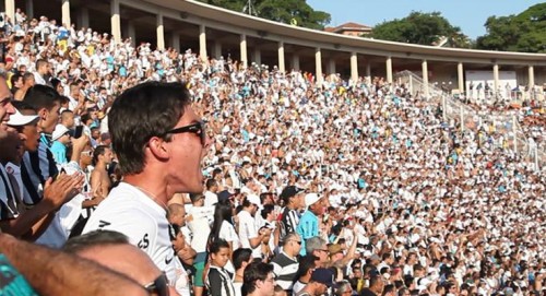 Torcida do Santos no Pacaembu (Santos FC/Divulgação)