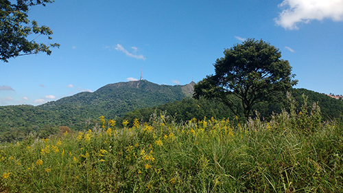 Bela vista do pico do Jaraguá (Esportividade)
