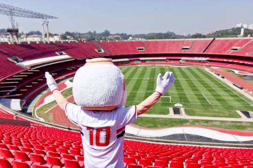 Estádio do Morumbi (saopaulofc.net)