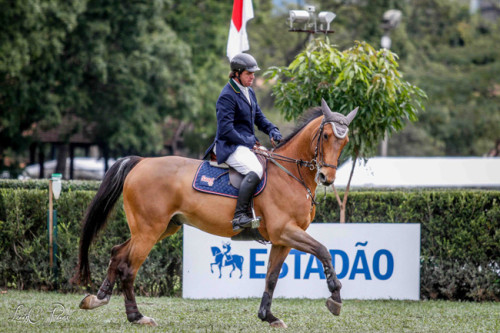 José Roberto Reynoso Fernandez Filho (Luís Ruas)