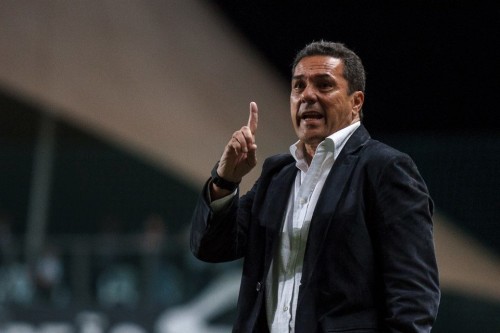 Vanderlei Luxemburgo, técnico do Cruzeiro (Vinnícius Silva/Portre Imagens)