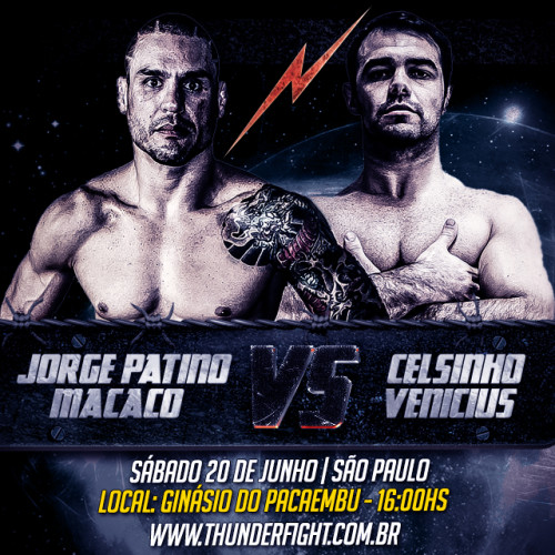 Thunder Fight 4