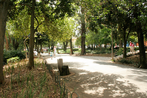 Parque da Aclimação (vcheregati)