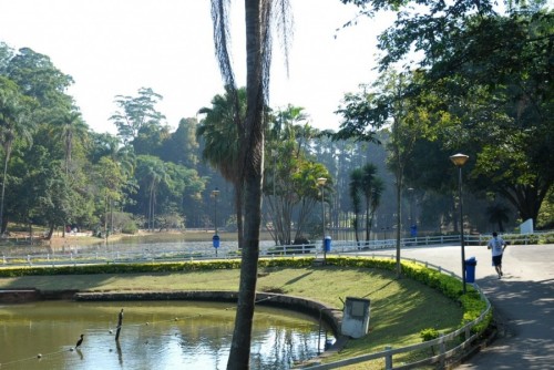 Parque Estadual Alberto Löfgren, o Horto Florestal (Secretaria do Meio Ambiente)