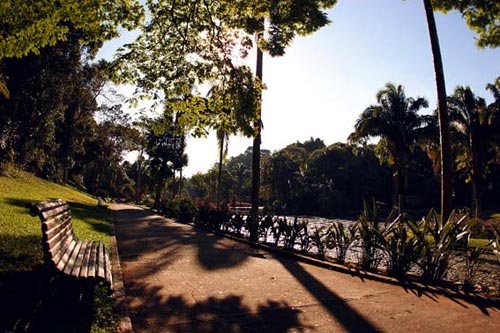 Jardim Botânico (Caio Pimenta/SPTuris)