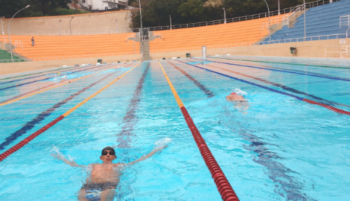 Piscina olímpica aquecida do complexo esportivo do Pacaembu (Esportividade)