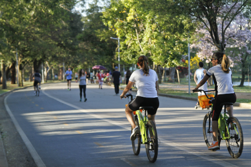 Ciclismo no parque do Ibirapuera (José Cordeiro/ SPTuris)