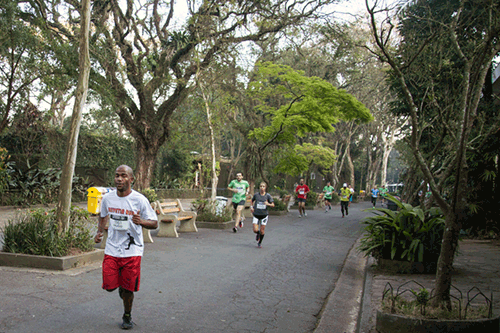 Atletas correm no Zoológico de São Paulo (Circuito Rios e Ruas Caixa)